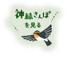 新緑さんぽをみる