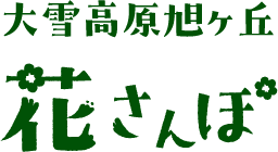 大雪高原旭ヶ丘　花さんぽ