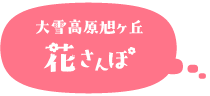 大雪高原旭ヶ丘花さんぽ