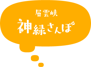 層雲峡旭ヶ丘花さんぽ